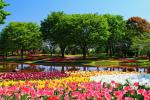 Tour Nhật Bản - Tokyo – Núi Fuji – Công Viên Showakinen
